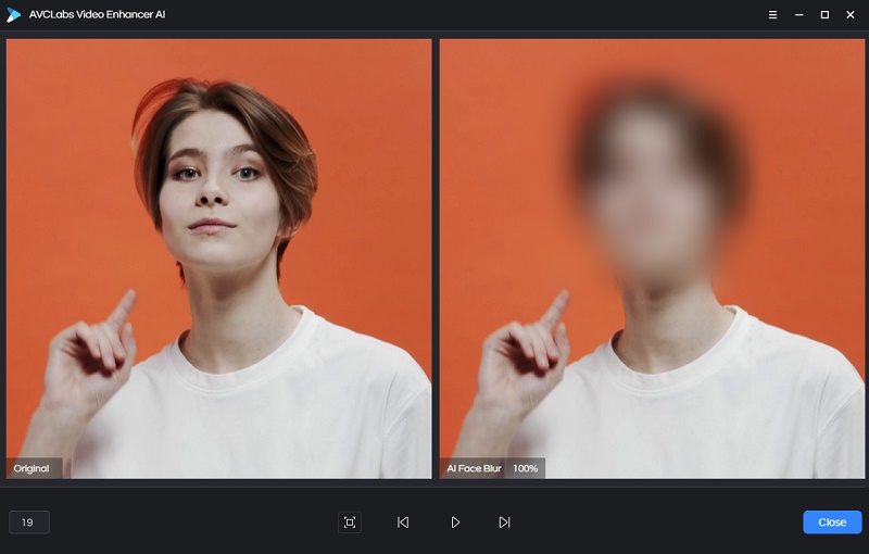 face blur preview