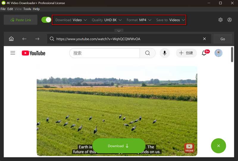 4k video downloader download options
