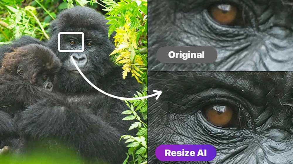 upscale image with on1 resize ai
