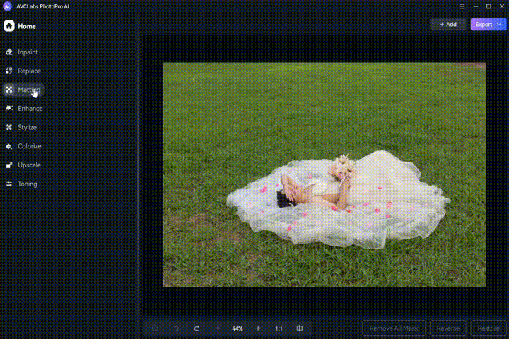 remove and replace image background with avclabs photopro ai