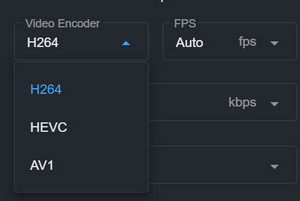 choose h264 as the video codec