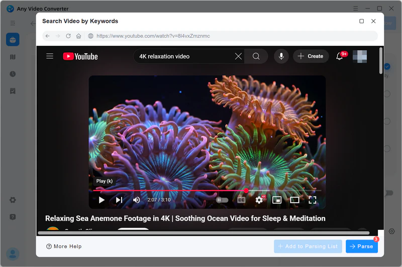 add video to parsing list